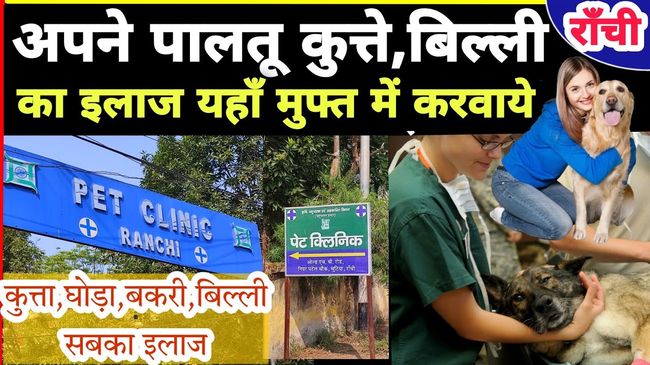 Pet Clinic Ranchi यहाँ करवाये फ्री में अपने पेट का इलाज ।Ranchi free