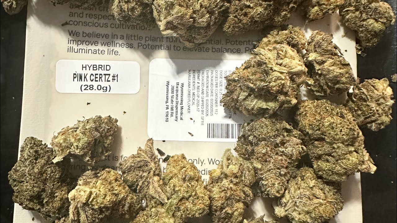Pink Certz #1 - 28 Grams Strain Review 