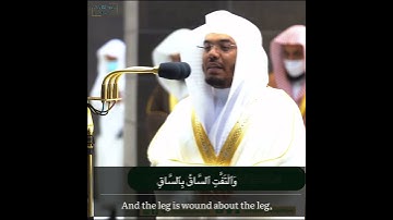 كلا إذا بلغت التراقي"تلاوة خاشعة تهز القلوب أ.د ياسر الدوسري | سورة القيامة