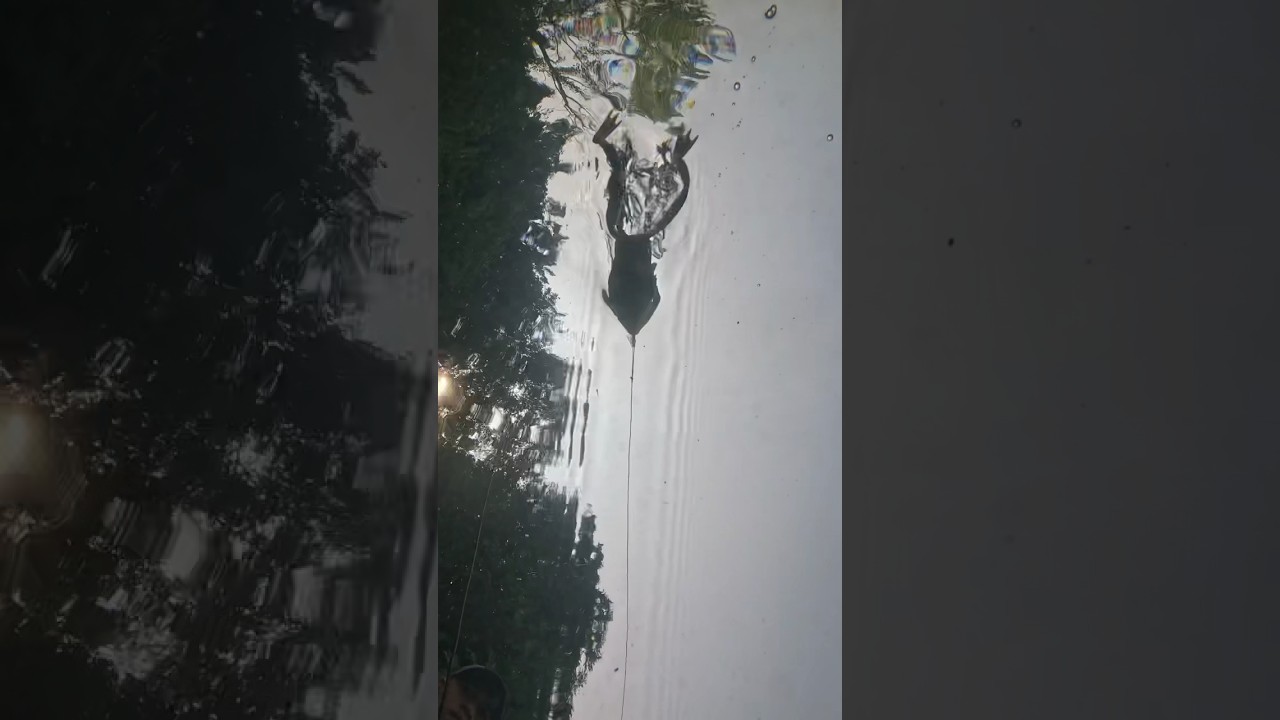 Will you trust this 1/2 oz Lunkerhunt pocket frog 🐸 ??? 