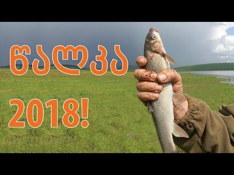 თევზაობა წალკაში 2018