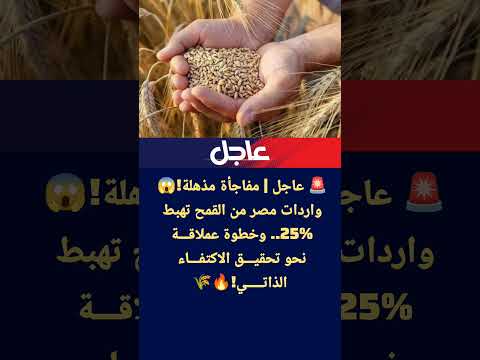 عاجل مفاجأة مذهلة واردات مصر من القمح تهبط 25 وخطوة عملاقة نحو تحقيق الاكتفاء الذاتي