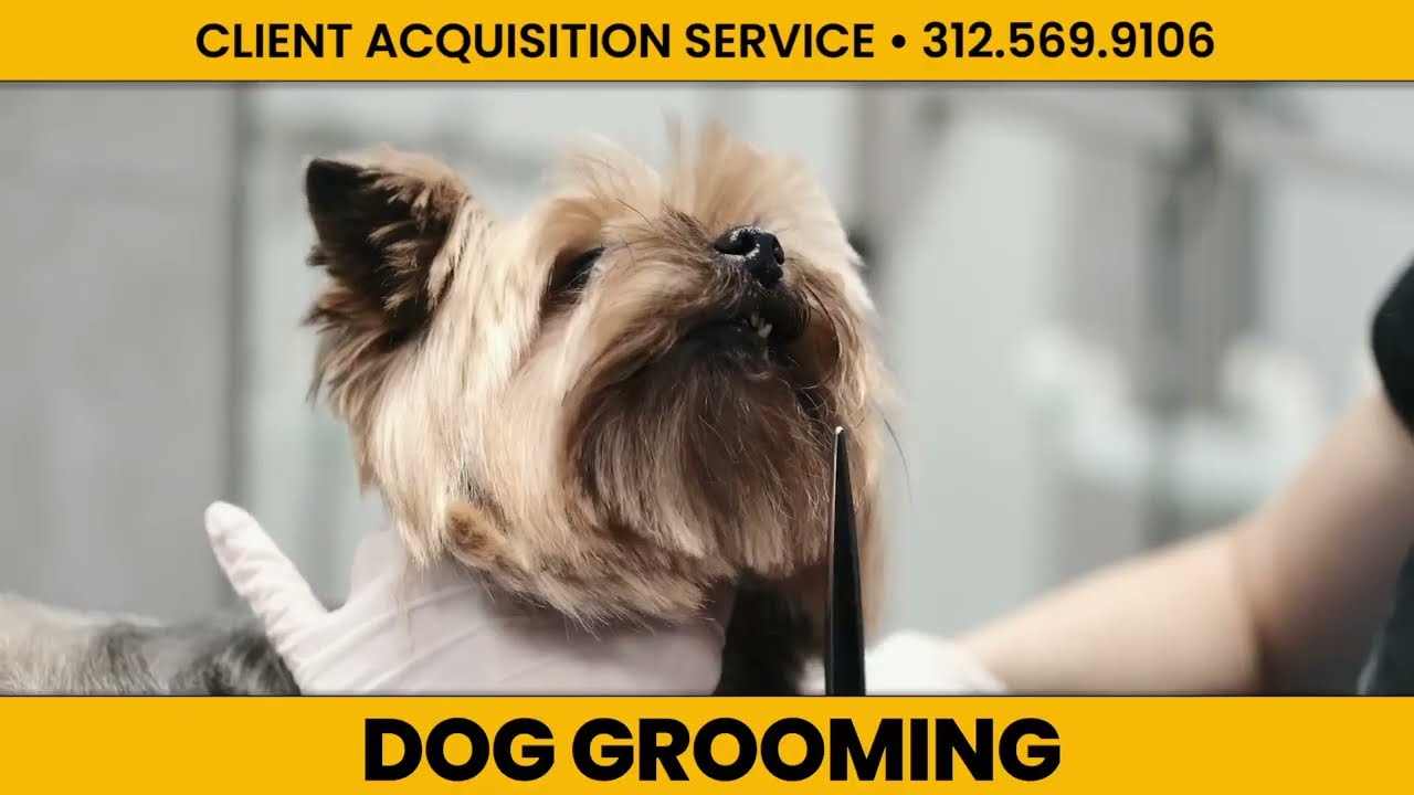 How To Get The Right Clients To Your Business | Client Acquisition Service