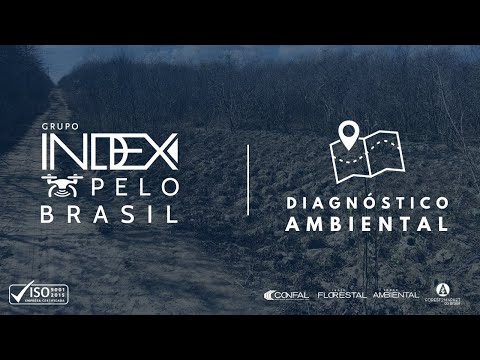 Diagnóstico Ambiental | Levantamento Florístico e Fitossociológico - Grupo Index Voando pelo Brasil