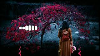 new islamic ringtone | ramadan ringtone | turkish ringtone | arabic ringtone | new ringtone 2022