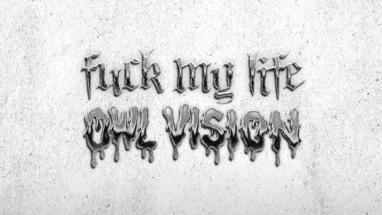 Owl Vision - Fuck My Life [Single] - YouTube