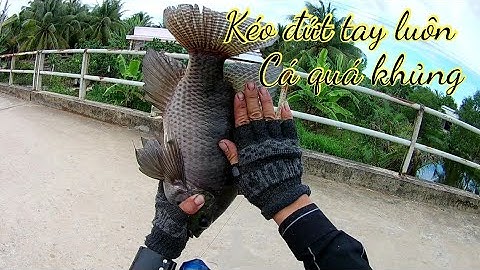 Bắn cá bằng ná cao su được cá khủng kéo đứt tay