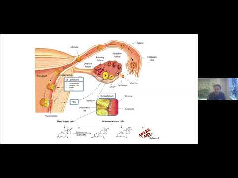 Taze vs donmuş, doğal vs programlanmış - tartışma henüz bitmedi