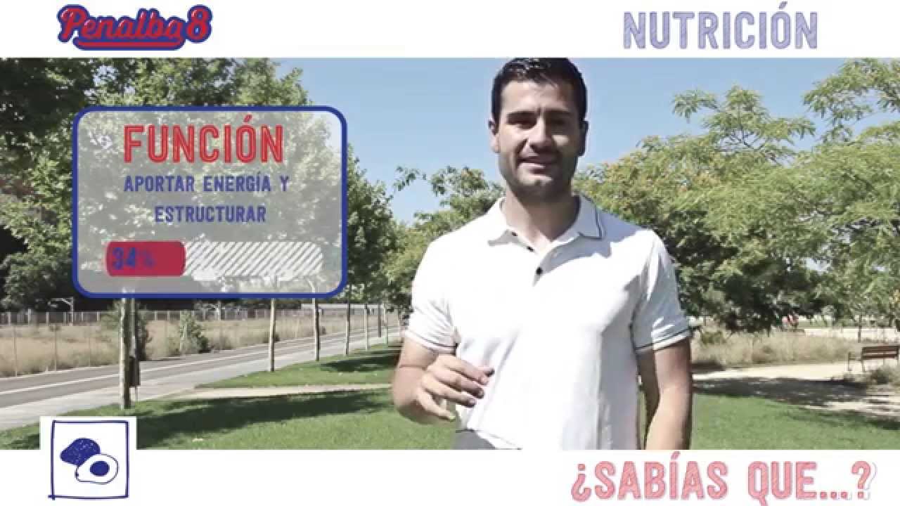 entrenador personal valencia biotraje Penalba8 Grasas