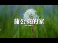 盧潤澤 奕夕 蒲公英的家 我是一株蒲公英的花 大風吹到哪我到哪 時光風乾漂泊時的淚痕啊 落地我就能生根發芽 動態歌詞MV 盧潤澤 奕夕 蒲公英的家 我是一株蒲公英的花 大風吹到哪我到哪 時光風乾漂泊時的淚痕啊 落地我就能生根發芽 動態歌詞MV