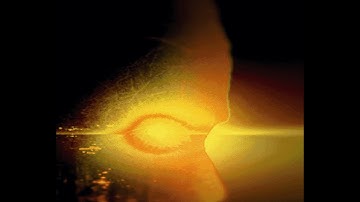 Ambient Cardinal with a pulse