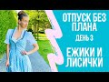 Что мы не учли? Немецкий сэконд. 20 км пешком. Лисички и ежики.  #agilrtravel2020