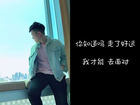 你要的不是我（翻唱）