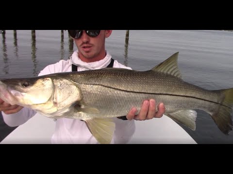 fishing planet florida unique snook fishing planet florida unique snook