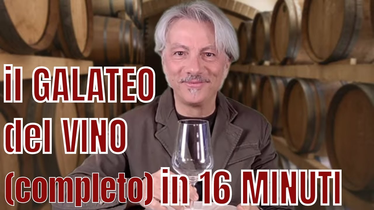 IL GALATEO del VINO (COMPLETO) in 16 MINUTI!