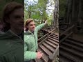 世界自然遺産　屋久島　#ショート