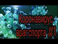 Коронавирус разрушает спортивную жизнь на планете Земля!!!