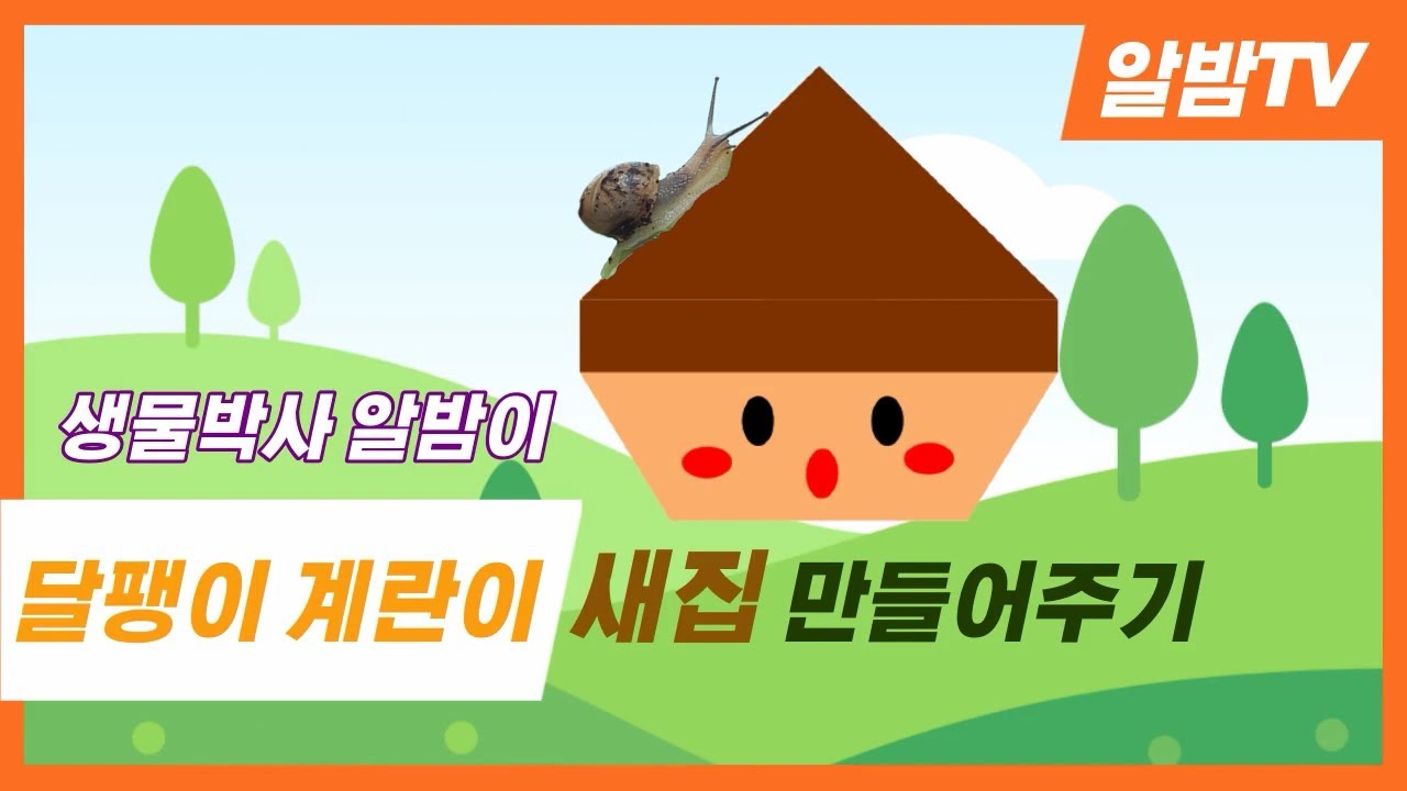 알밤TV 생물박사 달팽이 집 만들어 주기