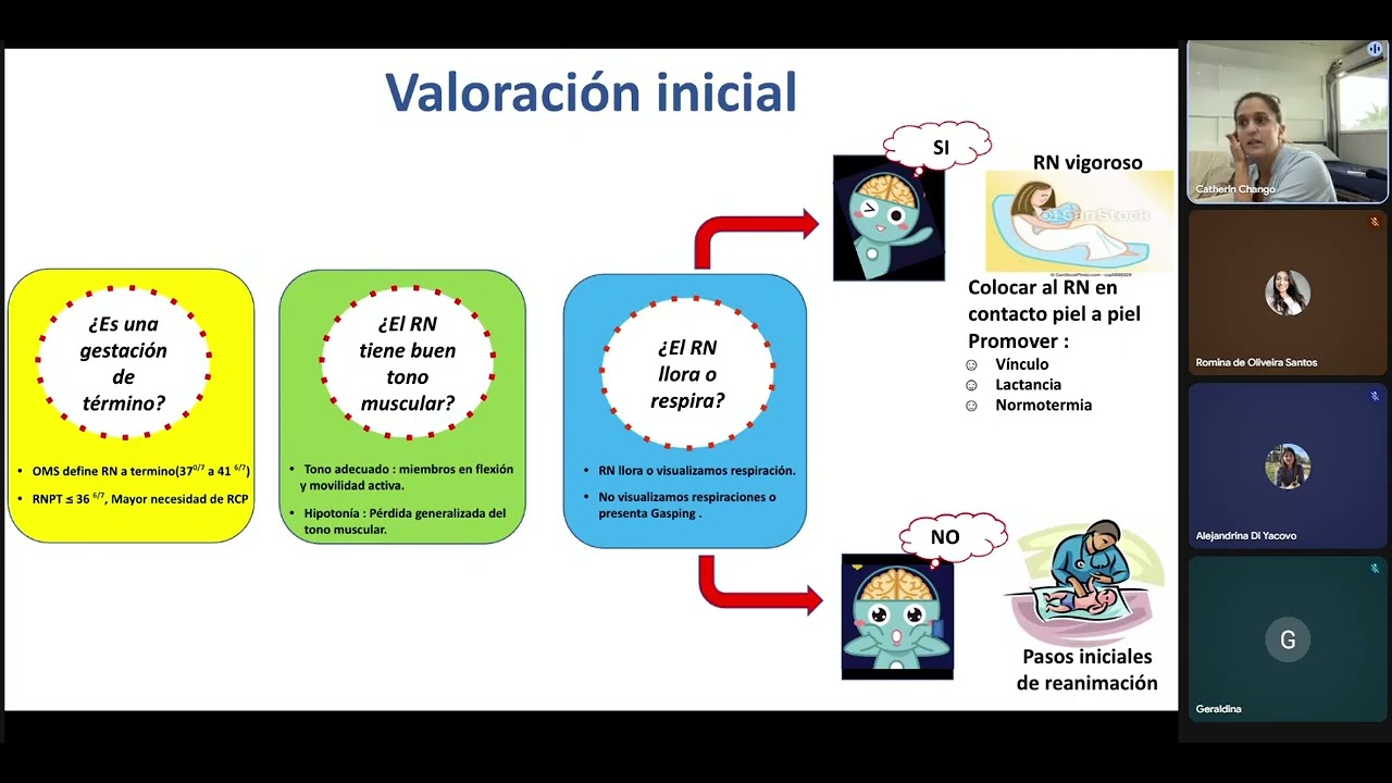 Clase 15. GENERALIDADES DE RCP NEONATAL