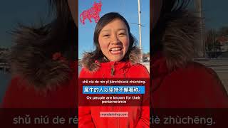What Your Chinese Zodiac Animal Says About YOU!