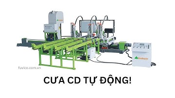 Máy cưa CD tự động Woodmaster. Cưa CD CNC