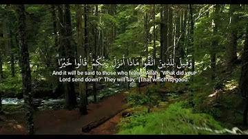 Surah An-Nahl (The Bees) | سورة النحل (كاملة ) | Yasser Al Dosari | ياسرالدوسري#قرآن #قران_كريم