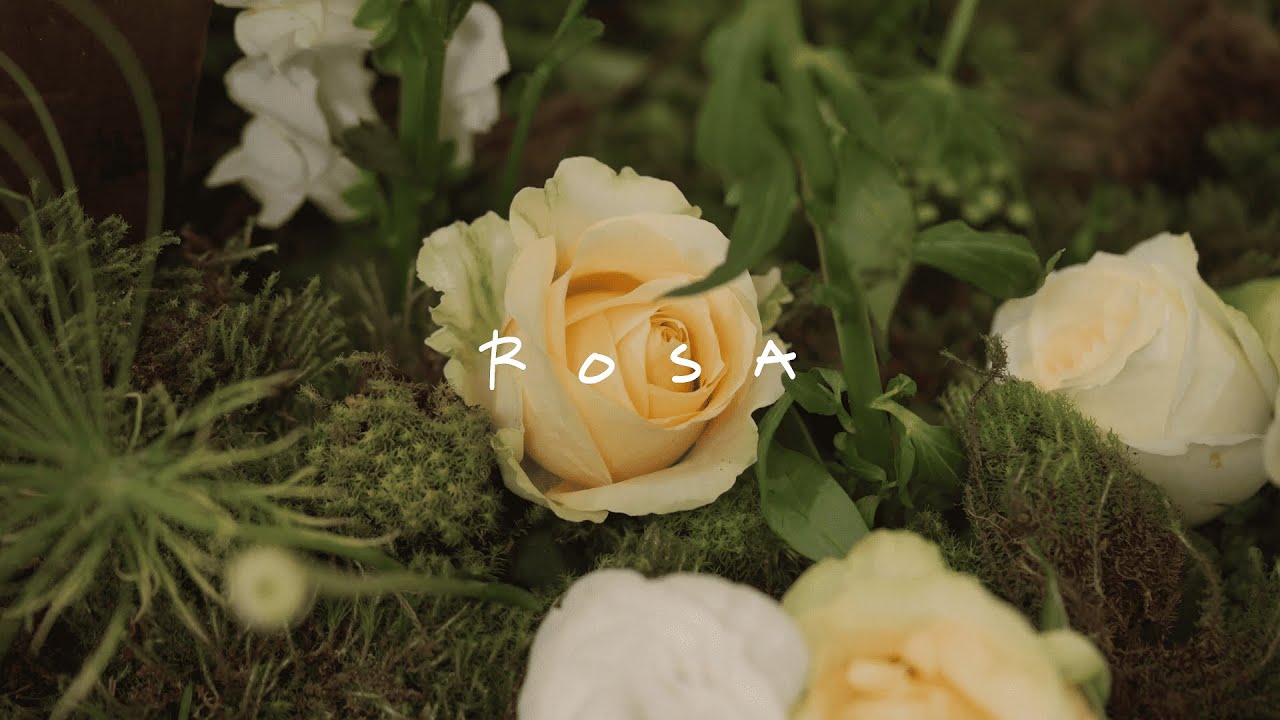 Watch Marina Gold - Rosa (Visualizer Oficial) on YouTube Watch Marina Gold - Rosa (Visualizer Oficial) on YouTube