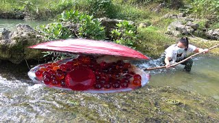 🔥🔥Unbelievable! Pry open the huge red clam and harvest the priceless pearl treasure