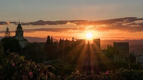 Photo & 4K Video Workflow on the Road - Adobe Bridge. Part 1/3