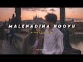 Malenadina hoovu nee  slowed  reverb  kannada lofi  lovely vibez kannada