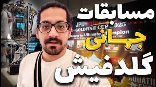🏆 رقابت گران‌ ترین گلدفیش‌های مالزی! 🐠💎 🇲🇾