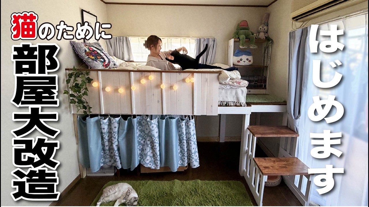 DIY] I wanted a cat room, so I decided to build a loft bed. - YouTube