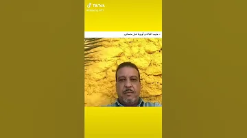 Shorts Chouftv 2022 عاجل شوف تيفي لايف 