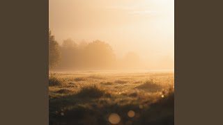 Honeyed Silence