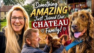 Something Amazing Just Joined Our CHATEAU Family!