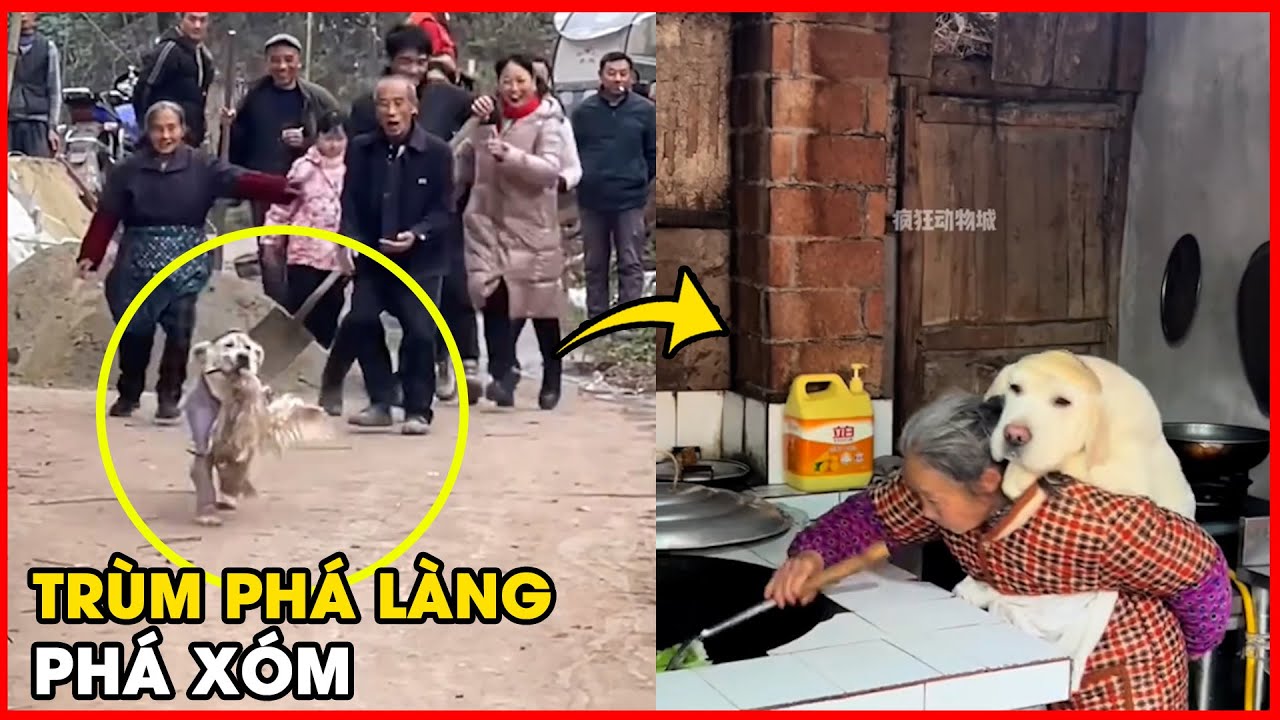 Đại ca Bảo và những phi vụ 