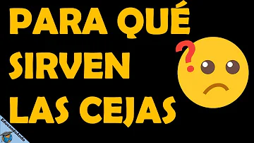 ¿Qué hormona provoca el adelgazamiento de las cejas?