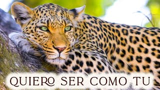 Quiero ser como tu / I Wanna Be Like You(El Libro de la Selva ) - cover