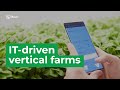 What is iFarm vertical farming technology? 🌱