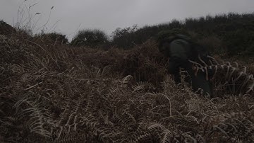 Telepathy - Smoke From Distant Fires (Official Video)