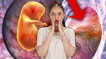 ¿En qué país se come la placenta?