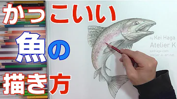 海の生き物 シロイルカの描き方 Mp3