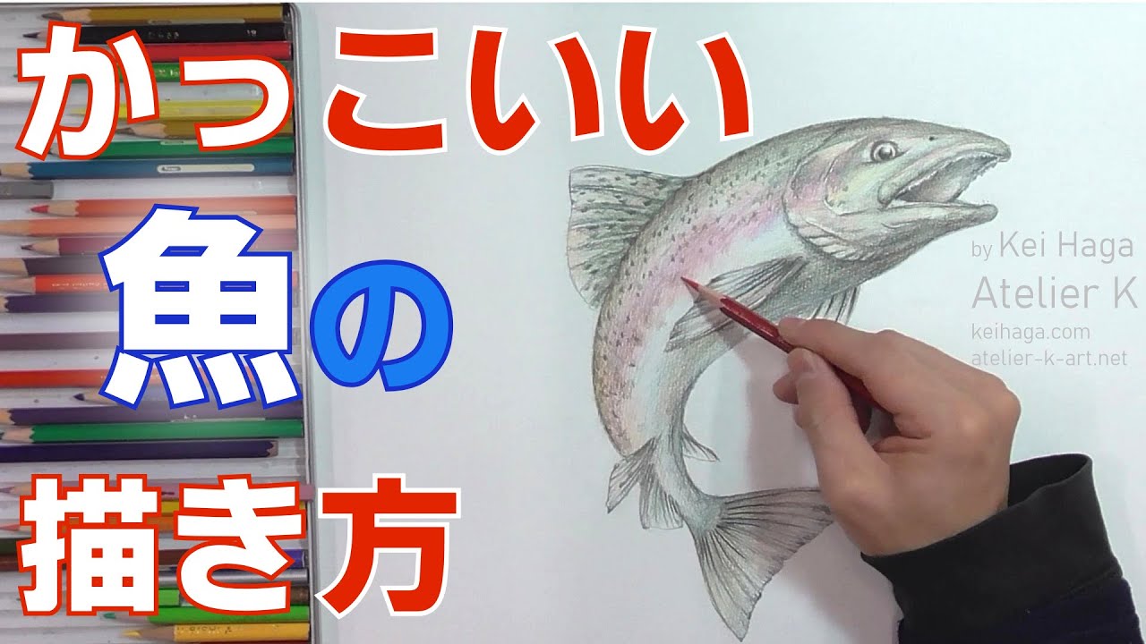 魚をかっこよく描く 描き方講座 イルカ サメ まぐろなどにも応用できるダイナミックな角度からの描き方 How To Draw A Cool Looking Fish By Atelier K Youtube