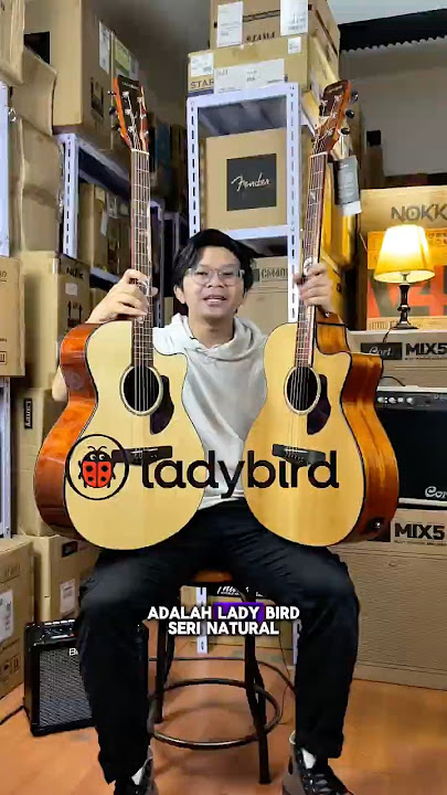 All Solid gitar akustik cuma 2 jutaan??!! LadyBird emang gak tanggung-tanggung buat gitar🔥