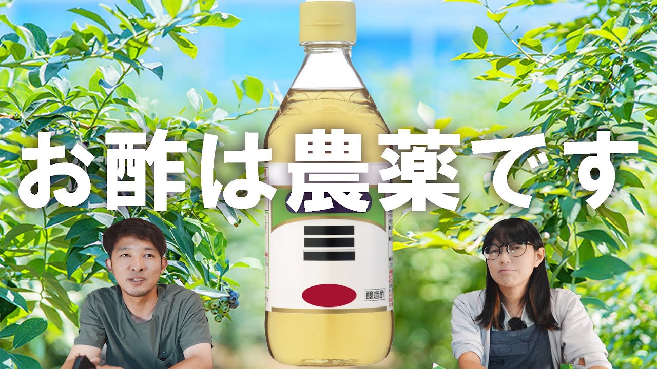 【植物ラジオ】農園芸の質問コメントに答える