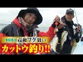 高級フグ狙いカットウ釣り！！【南知多沖】 の動画、YouTube動画。