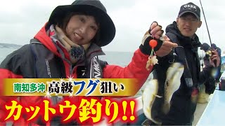 高級フグ狙いカットウ釣り！！【南知多沖】