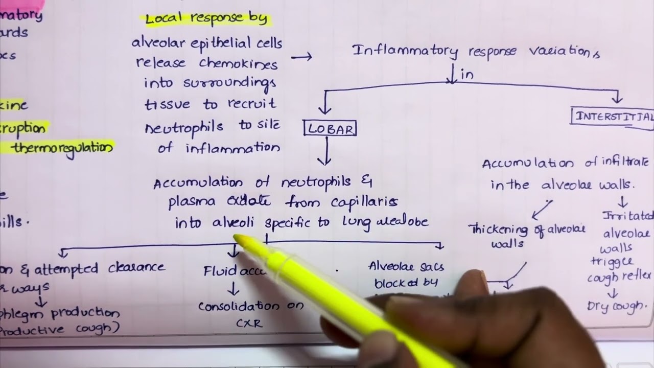 Pathogenesis of pneumonia 