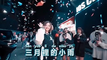 dj remix san yue li de xiao yu  dj remix 三月里的小雨