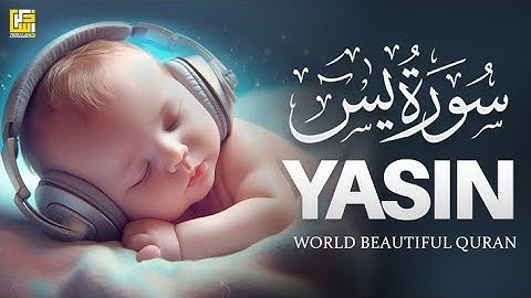 Surah Yasin (Yaseen) سورة يس | Majestic Quran Relaxing Heart Stealing Soft Voice